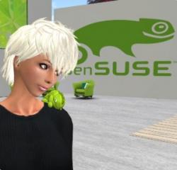 Second Life 发布派对